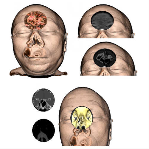 Graphic of a human face