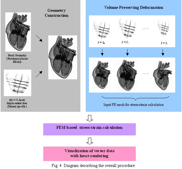 Cardiac motion visualization of a heat image